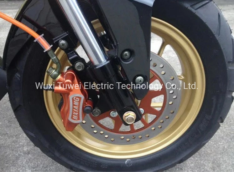 Colourful Cool Design EEC Electric Motorcycle Double Disk Brake