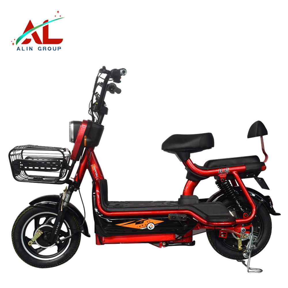 Electric Bike Electric Bicycle Motor China Electric Scooter
