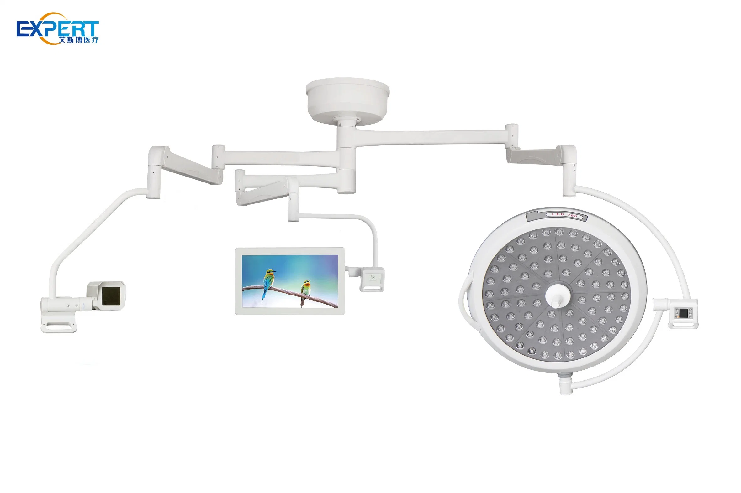 Cabezal de señal montado en techo/pared Exp-LED700 lámpara de funcionamiento del hospital LED sin sombras Luz