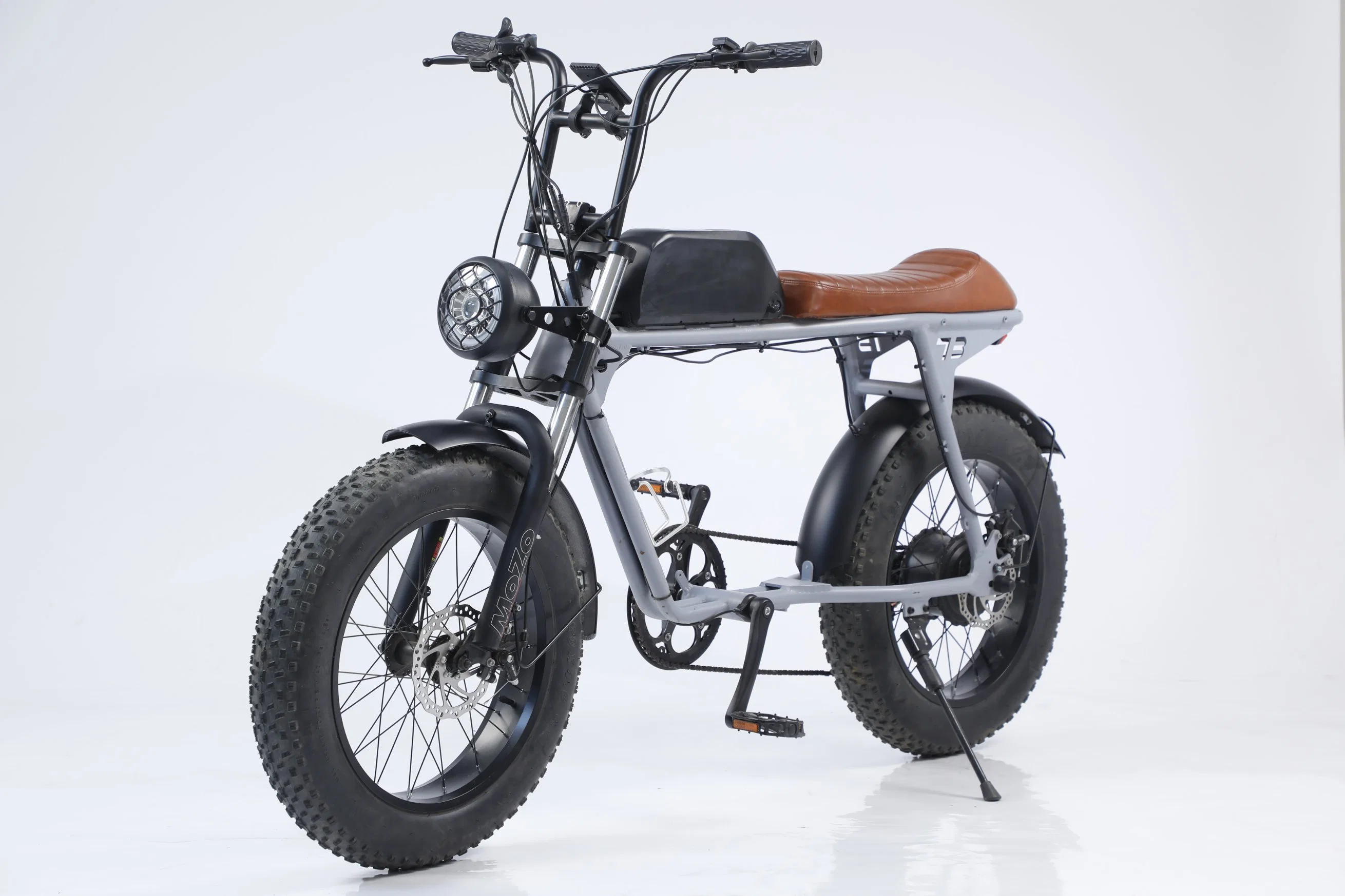 Schmutz eBike off Road Elektro Fahrrad heißen Verkauf