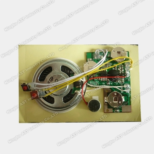 Greeting Cards Sound Module Voice Chip Recordable Sound Chip Vocal Module