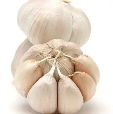 2023 High Quality Fresh Normal White Garlic 4.5cm-6.0cm Pure White Garlic for Sale