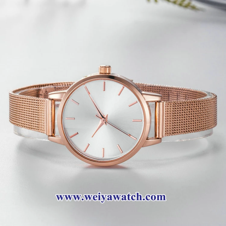 Mesh Alloy Strap Ladies Quartz Wist Watches, Lady Watch (WY-17035C)