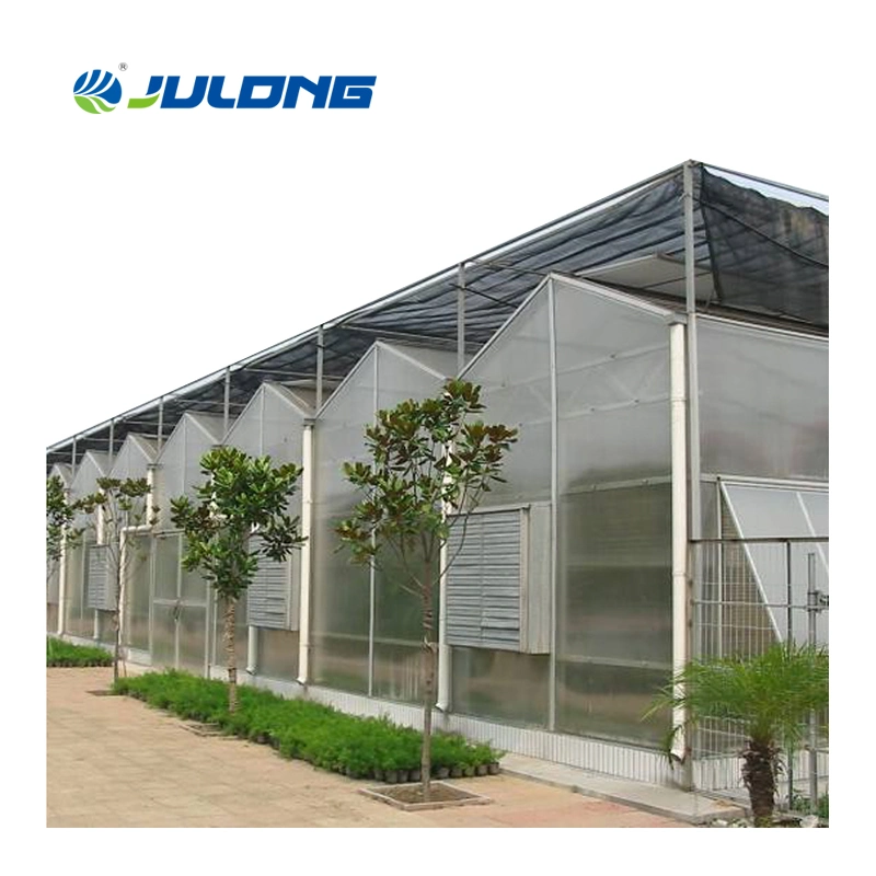 High quality/High cost performance  Agricultural Commercial Multi Span Polycarbonate Greenhouse with Nice Price