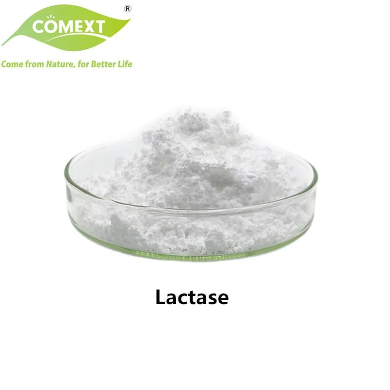 Comext Hot Sale Food Grade Enzyme Powder Beta-Galactosidase Powder Lactase