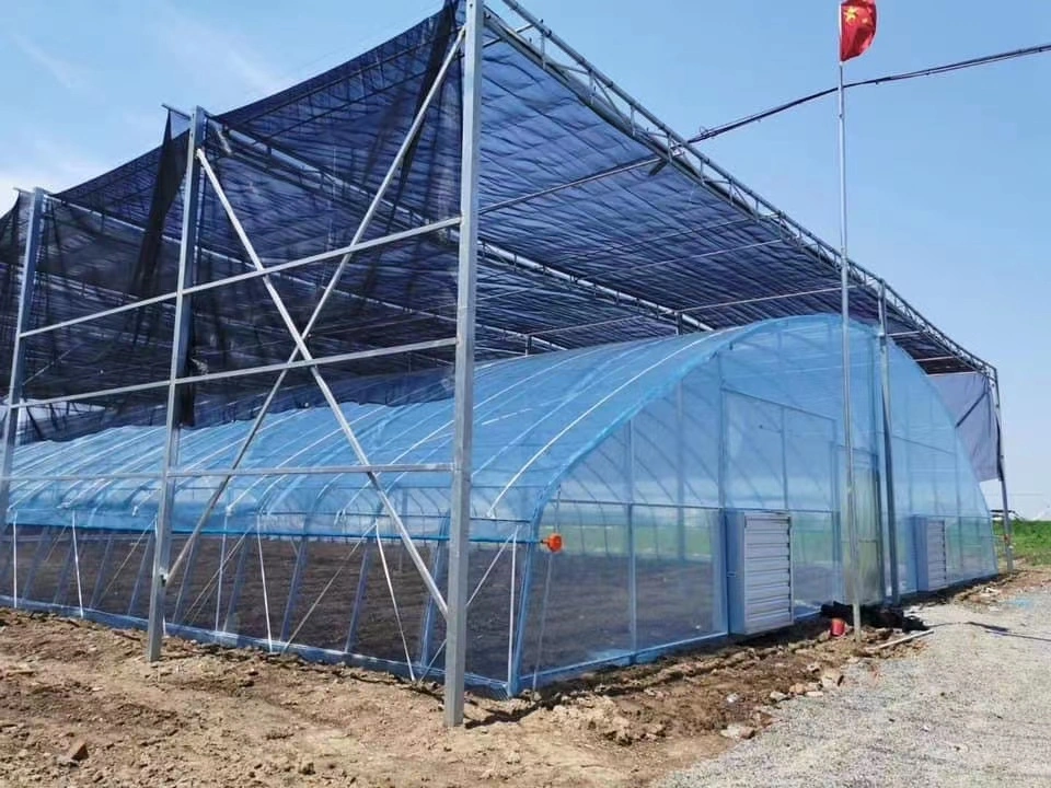 Blue Greenhouse Film Wholesale/Supplier - Greenhouse Plastic Sheet Manufacturer