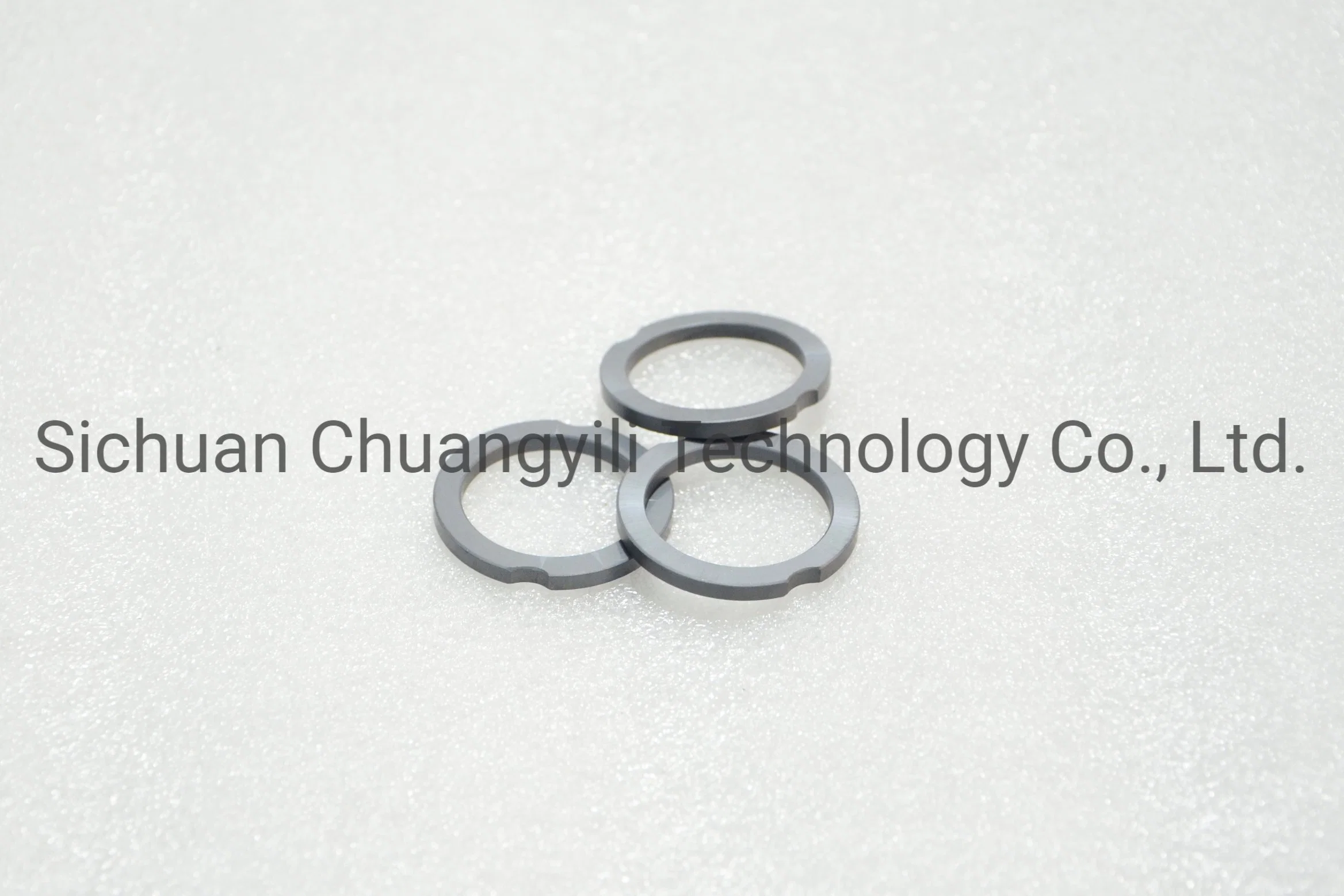 Ssic+C Ceramic Sealing O-Ring Anti Corrosion High-Temperature for Pump