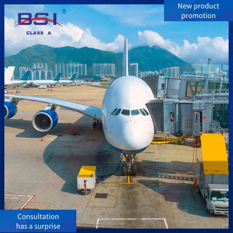 Amazon/Alibaba China Shenzhen Airport to Singapore Airport by Cheap Fast International Logistics Air Freight Ront-End/Door-to-Door Delivery DAP Fob Fba Service