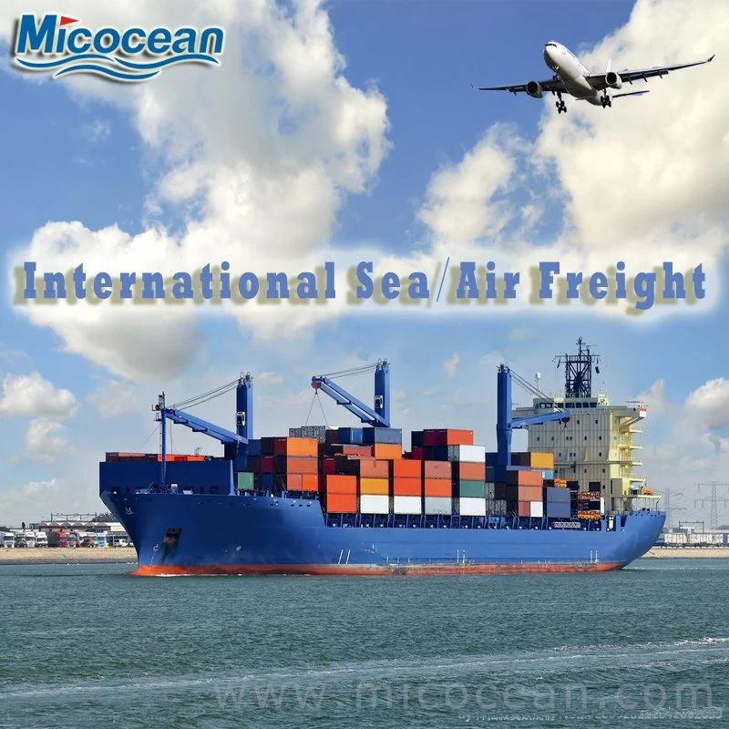 Professional International Logisties Sea Shipping / Air Freight da China para o mundo inteiro