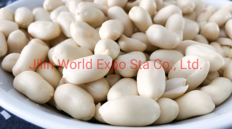 Factory Supplying Directly Blanched Peanut Kernels Seaflower 39/43