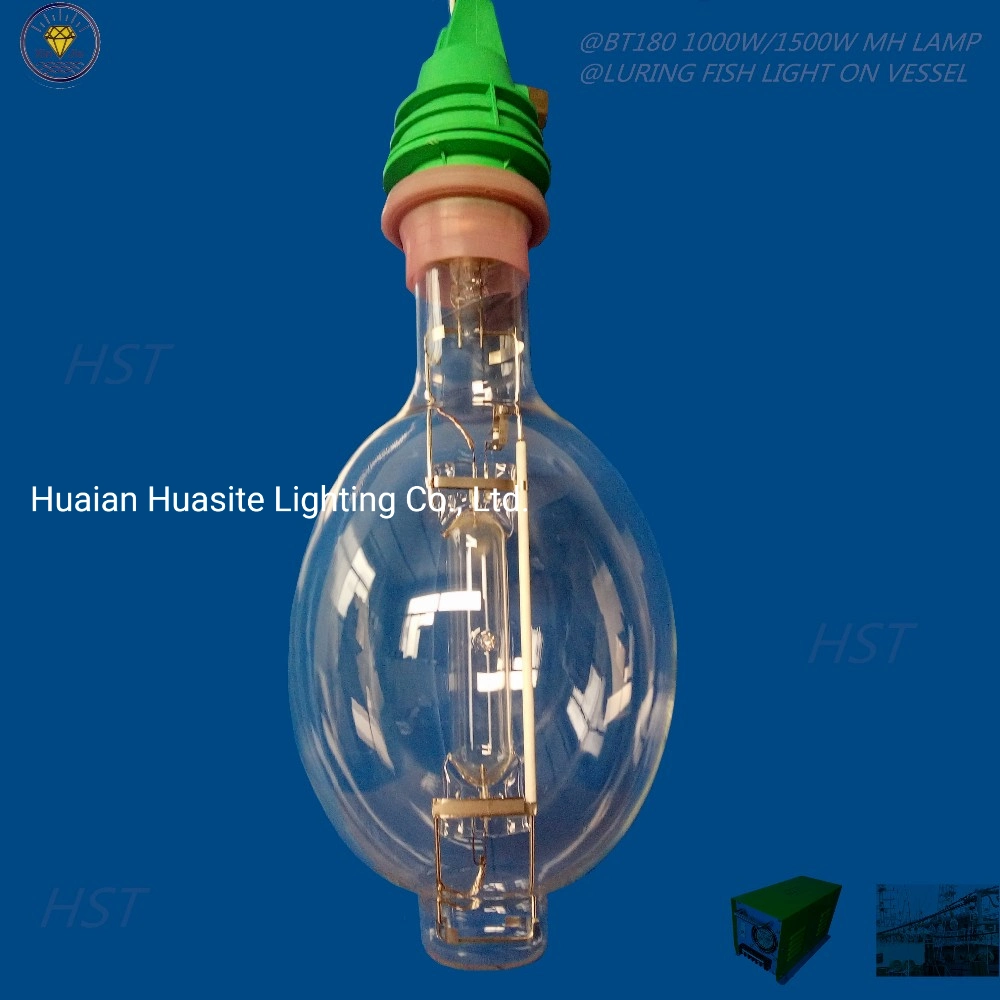 La pêche de l'éclairage Lampe aux halogénures métalliques de verre Projecteur extérieur BT180HMG1000W