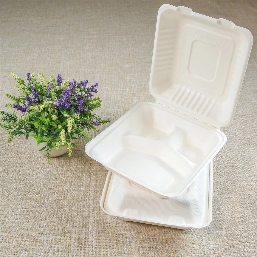 Biologisch Abbaubare Take Away Container Zuckerrohr Zellstoff Clamshell Food Lunch Box