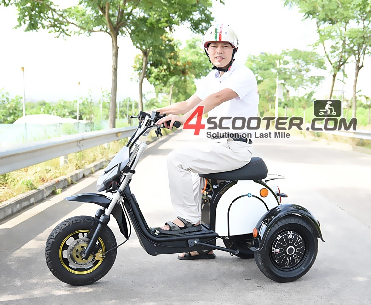 2023 New Type Citycoco 500W 1000W 1500W 2000W 3 Wheel Electric Scooter