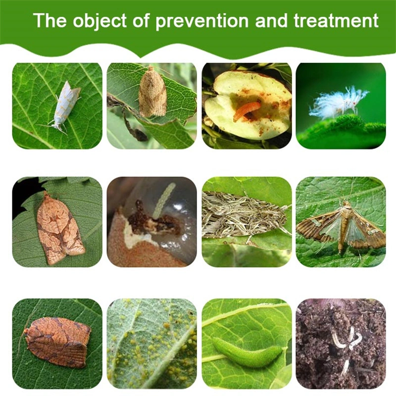 ديلتاميثرين ديكامثرين 98%TC 2.5%Sc 2.5%WP 0.5%DP Pest Control