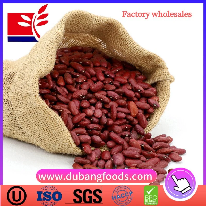 Dried England Red Kidney Beans From China Food