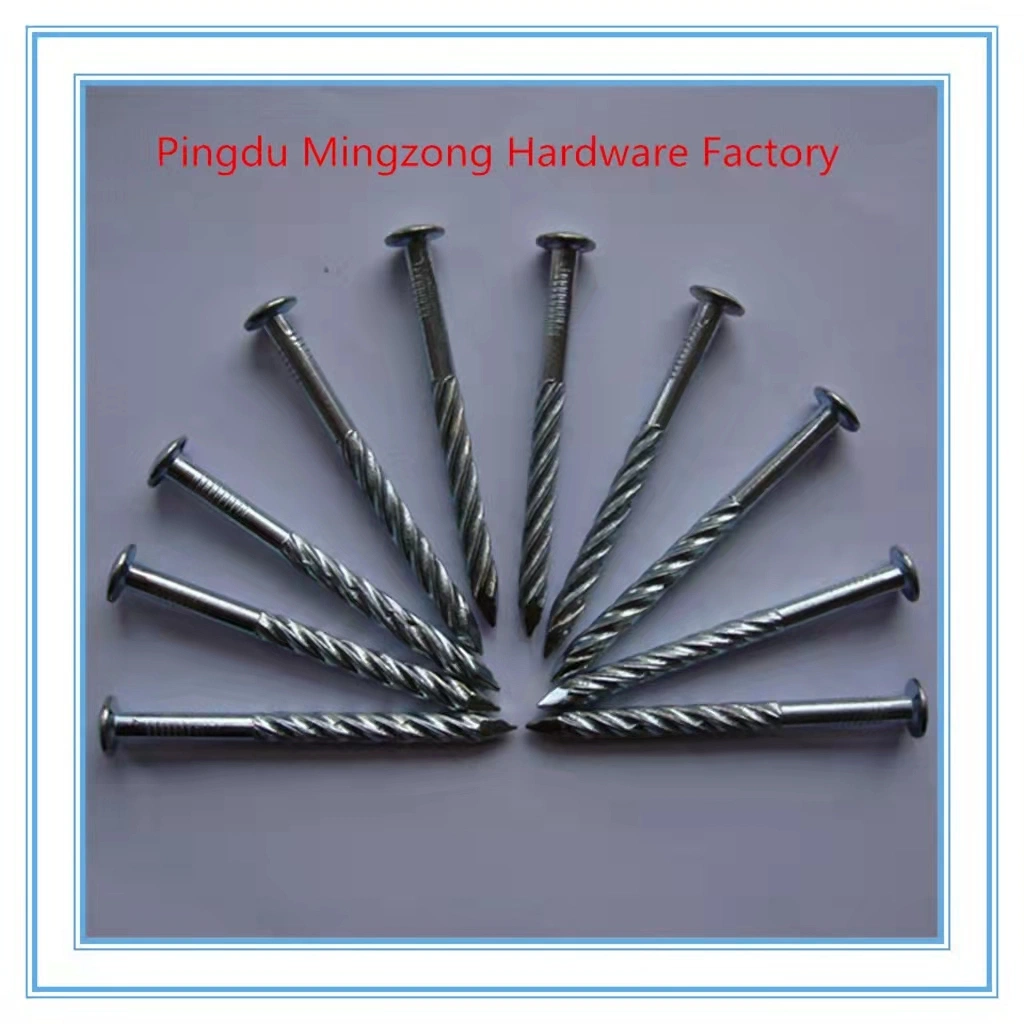 Steel Concrete Nail Galvanized Steel Nail with Twisted Shank