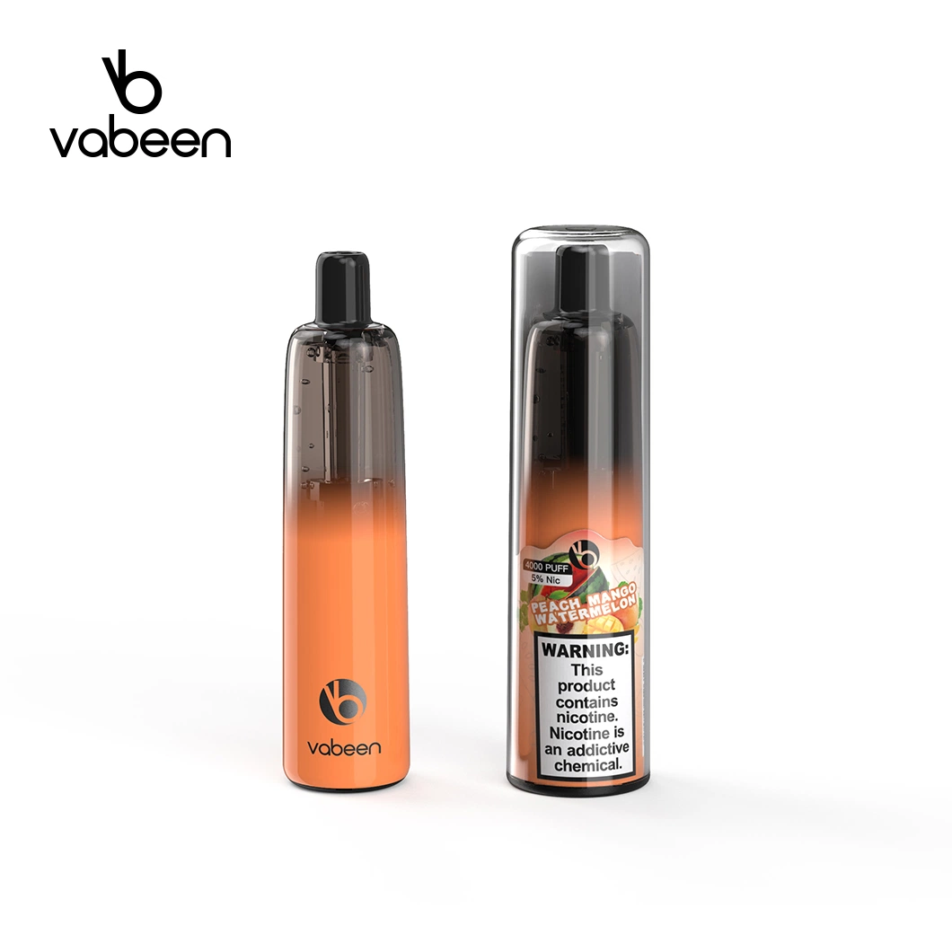 Vabeen 12ml Disposable/Chargeable Electronic Cigarette 11 Best Flavors Mini Disposable/Chargeable Vape Pen