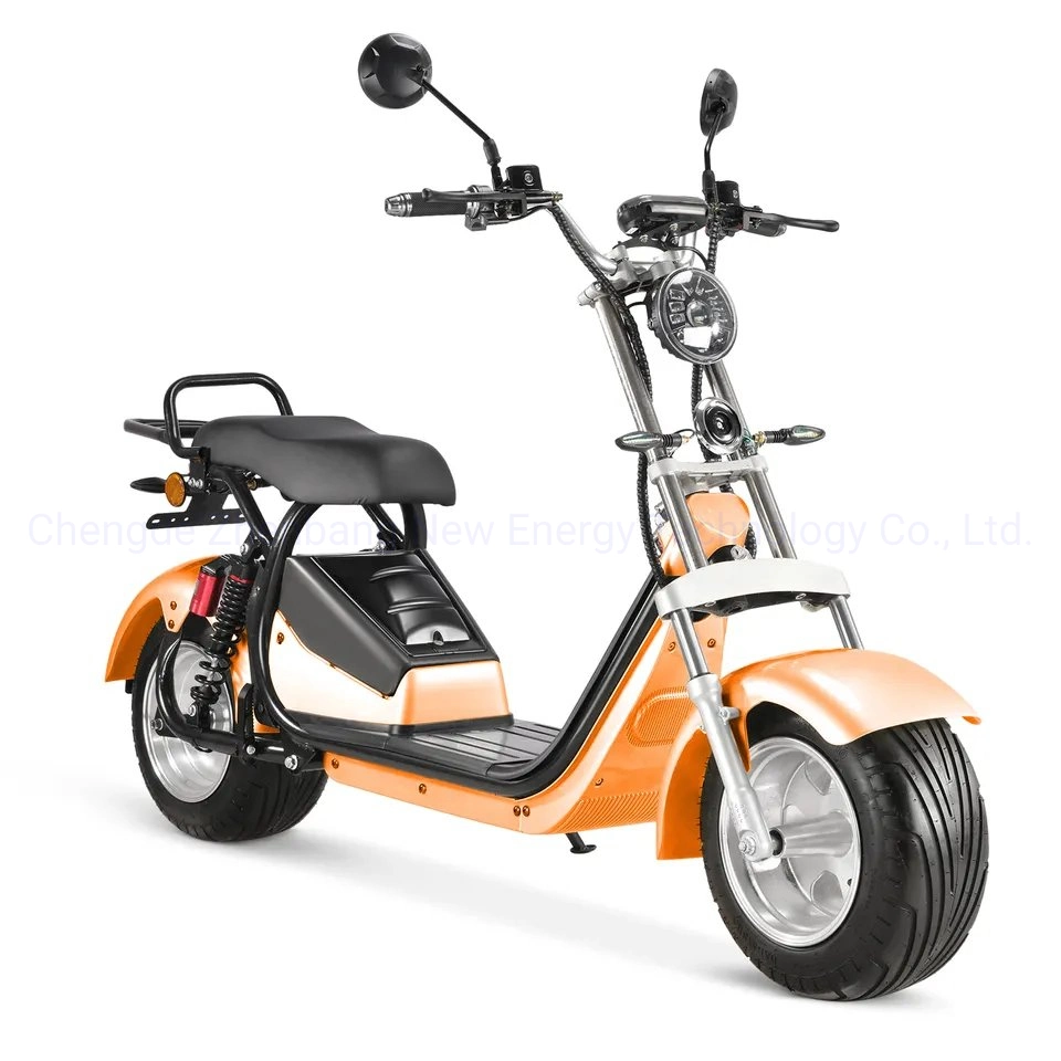 Two Wheels Adult Electric Scooter with Seat 60V 1500W Sport Scrooser Citycoco with Optional GPS