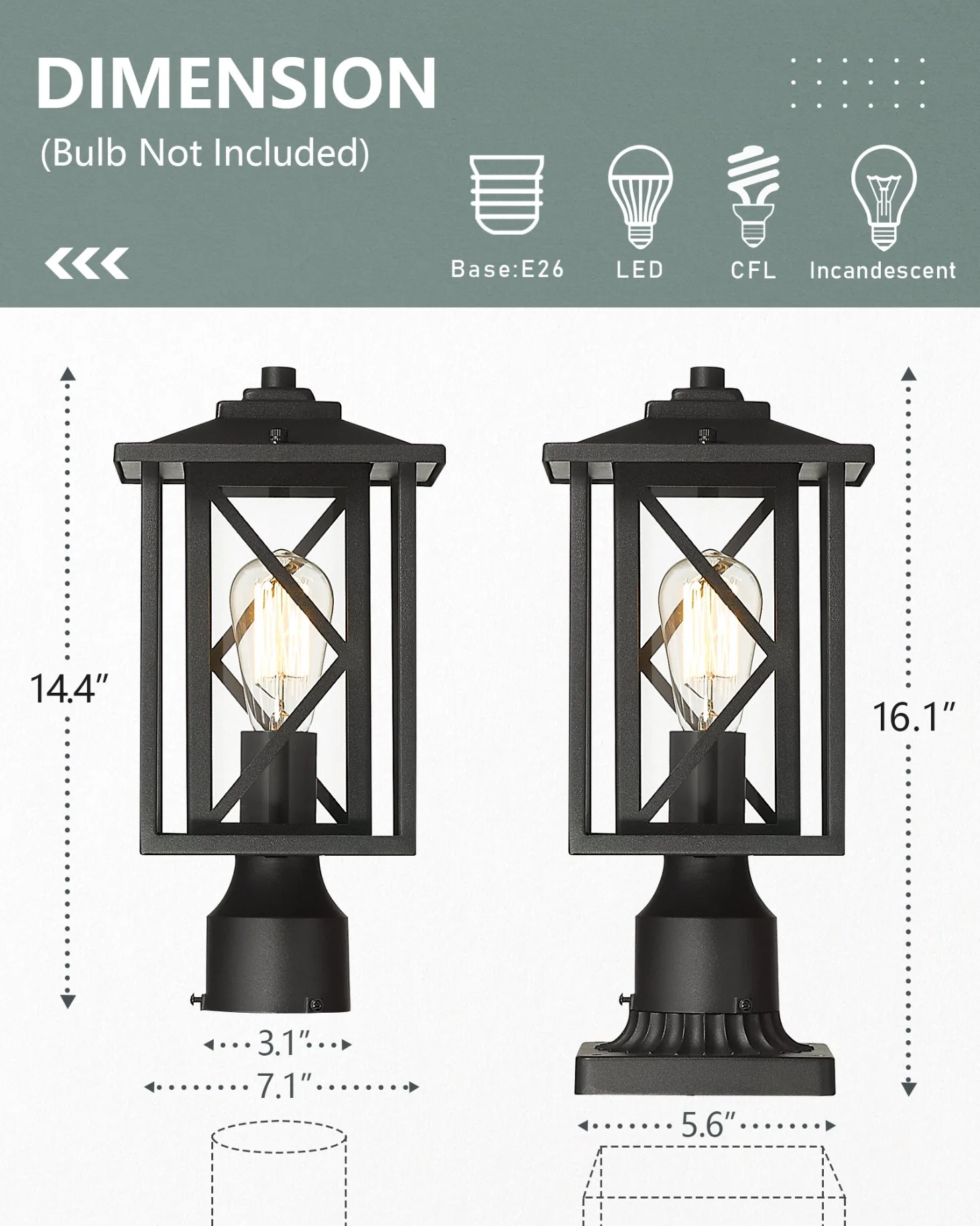 Highlight Your Home and Plants with LED Outdoor Light