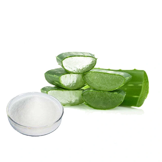 200: 1 Aloe Vera Gel Freeze Dried Powder