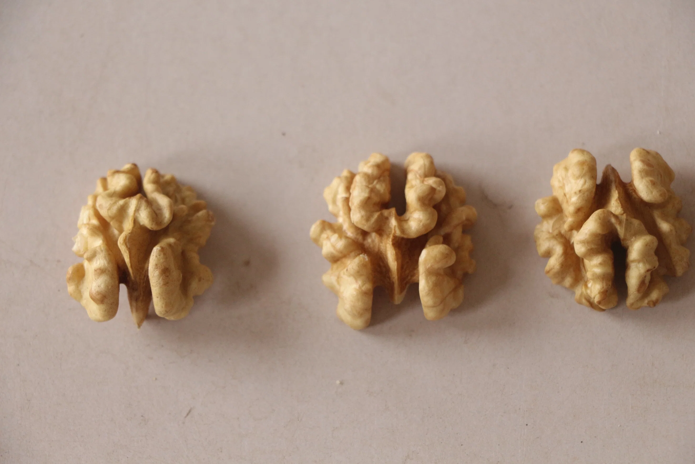 Organic Nuts Natural Fresh Walnuts Without Shell From China Manufacturer Wholesale Price