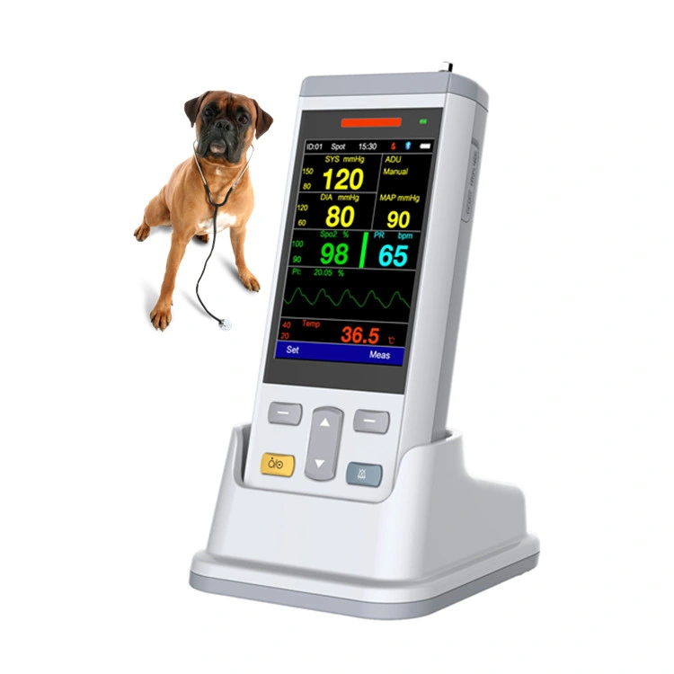 OEM ODM Medical Equipment Factory Price Blood Pressure Monitor with CE ISO