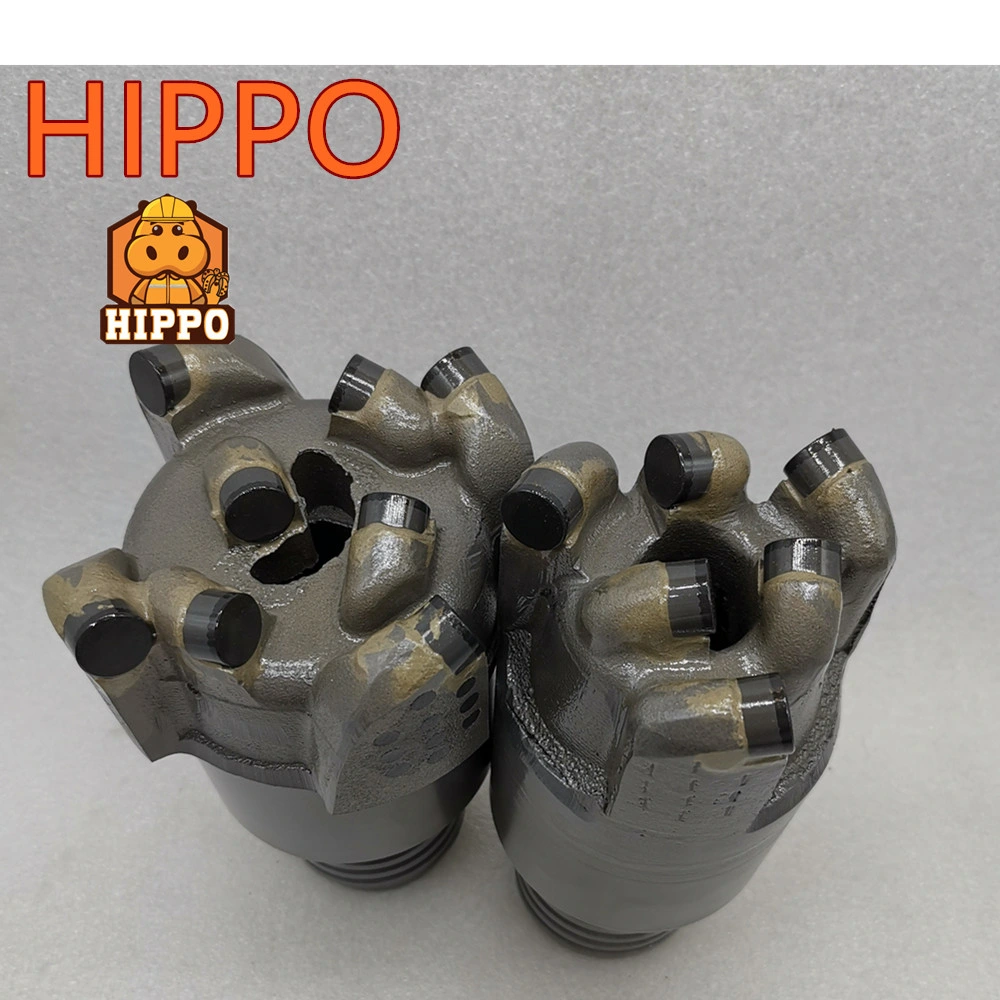 Hippo Flat Top Shape 113mm PDC Sintered Bit for Coal Mineral Drilling