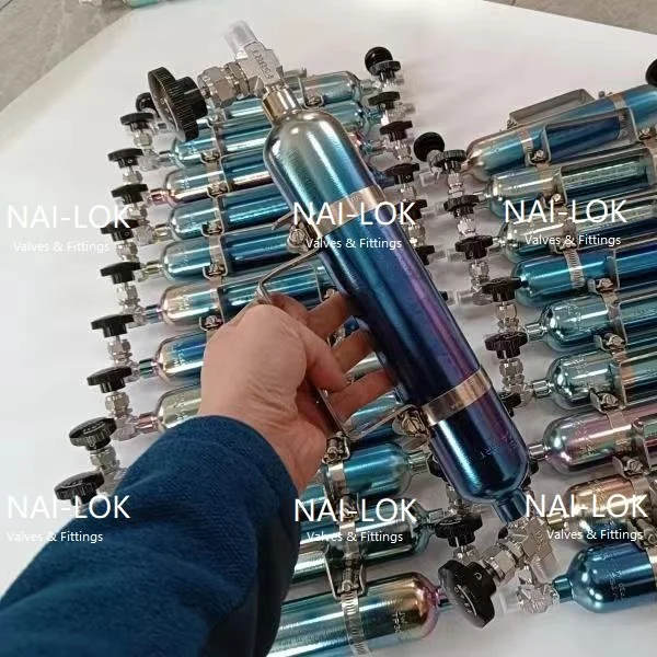 Gas Sampling Panel Systems 500cc with Needle Valves and Quick Connects Sample Cylinders for Hydrogen Sampling Application