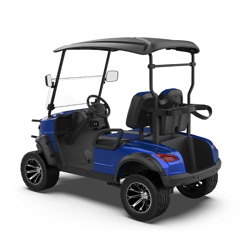 Can Be Cutomized Kinghike Iron Frame, Wrap Film Car Golf Buggy