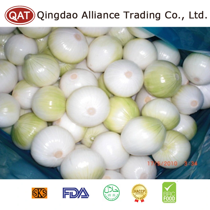 China Vegetables Fresh Peeled Yellow Onion White/Green Onion EU Standard