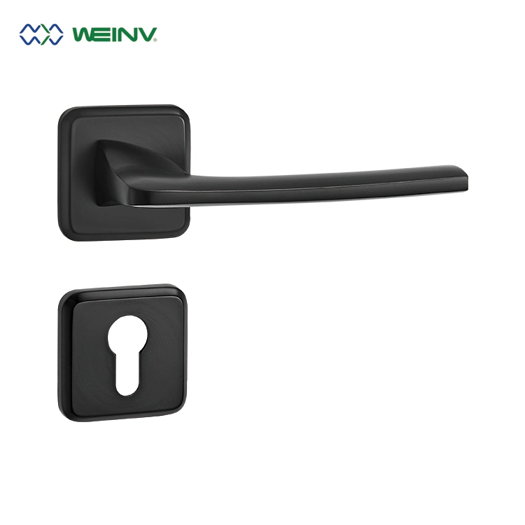 Precision Casting Stainless Steel Door Handle Lcok