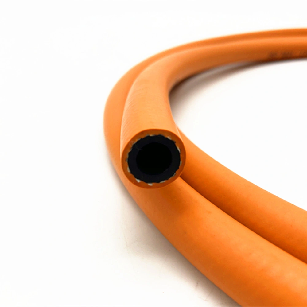 Flexible Propane LPG Gas Hose Pipe