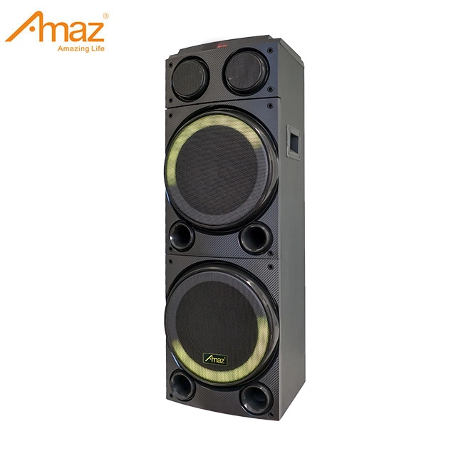 Altavoz de torre de luz LED de 10 pulgadas Amaz Al2910 OEM Altavoces Karaoke con micrófono