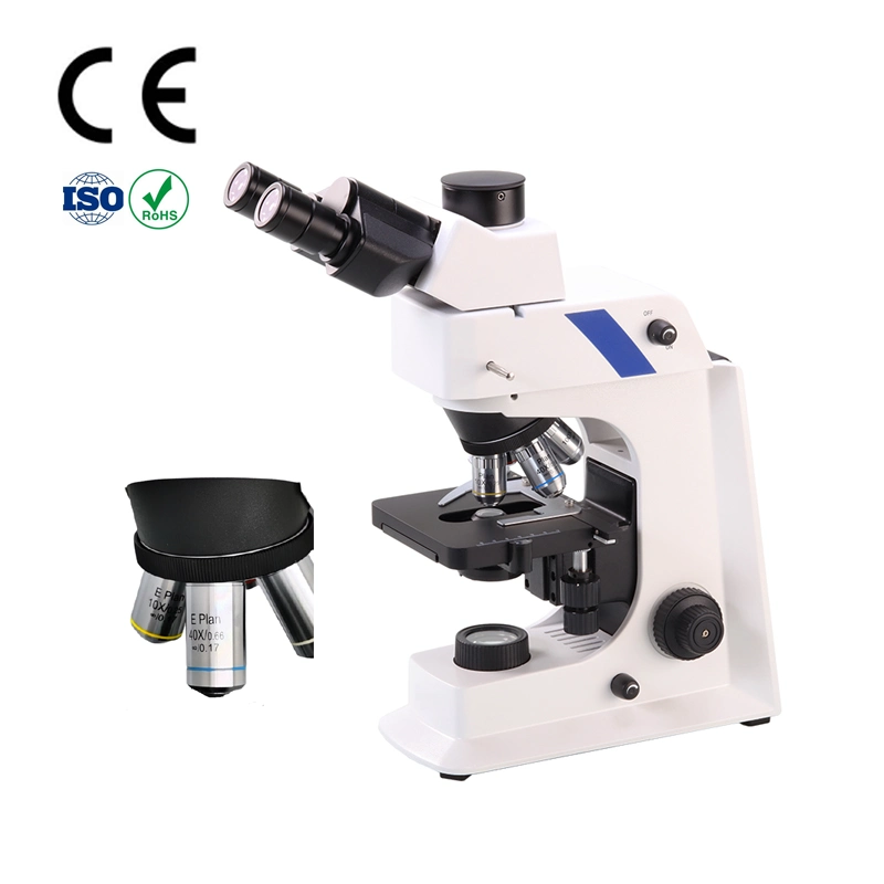 Microscopio de epifluorescencia de cámara de microcirculación capilar sanguínea para laboratorio con personalización básica.