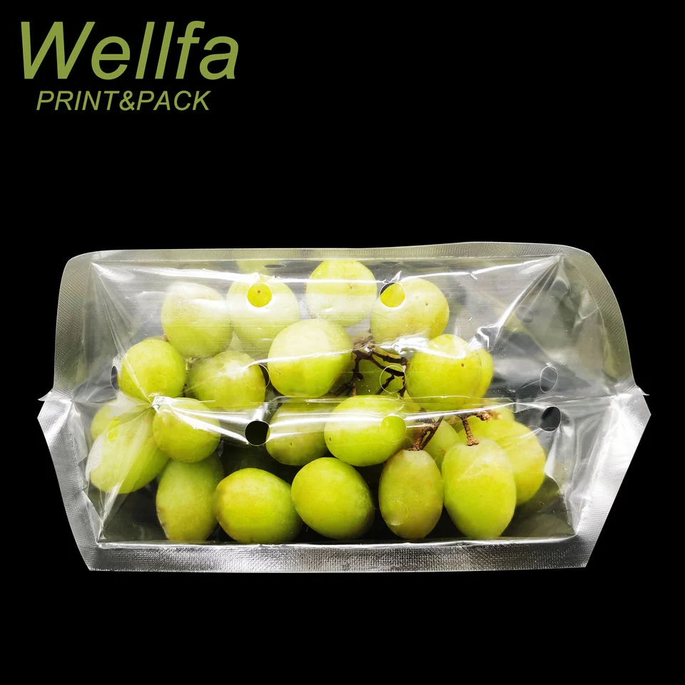 OEM Bolsa De Plastico Customized Printed Fruit Packing Zip Lock Plastic Bags Transparent with Handle