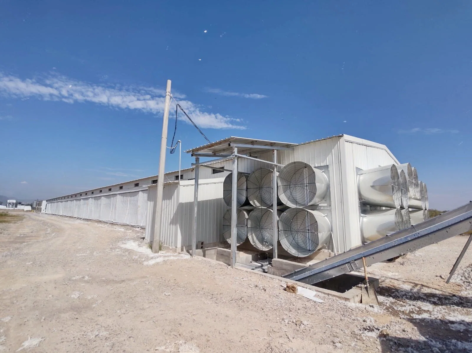 Aço galvanizado a quente fabrico de estruturas avícula criação de frangos de corte criação de frango