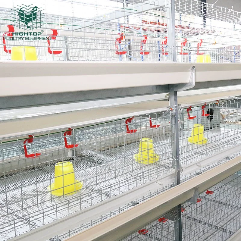 3 Tier H Type Automatic Poultry Chicken Battery Broiler Cage