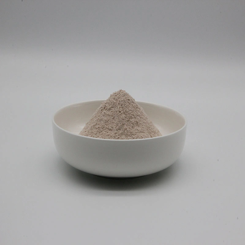 China Manufacturer Clostridium Butyricum Powder for Aquaculture Farms