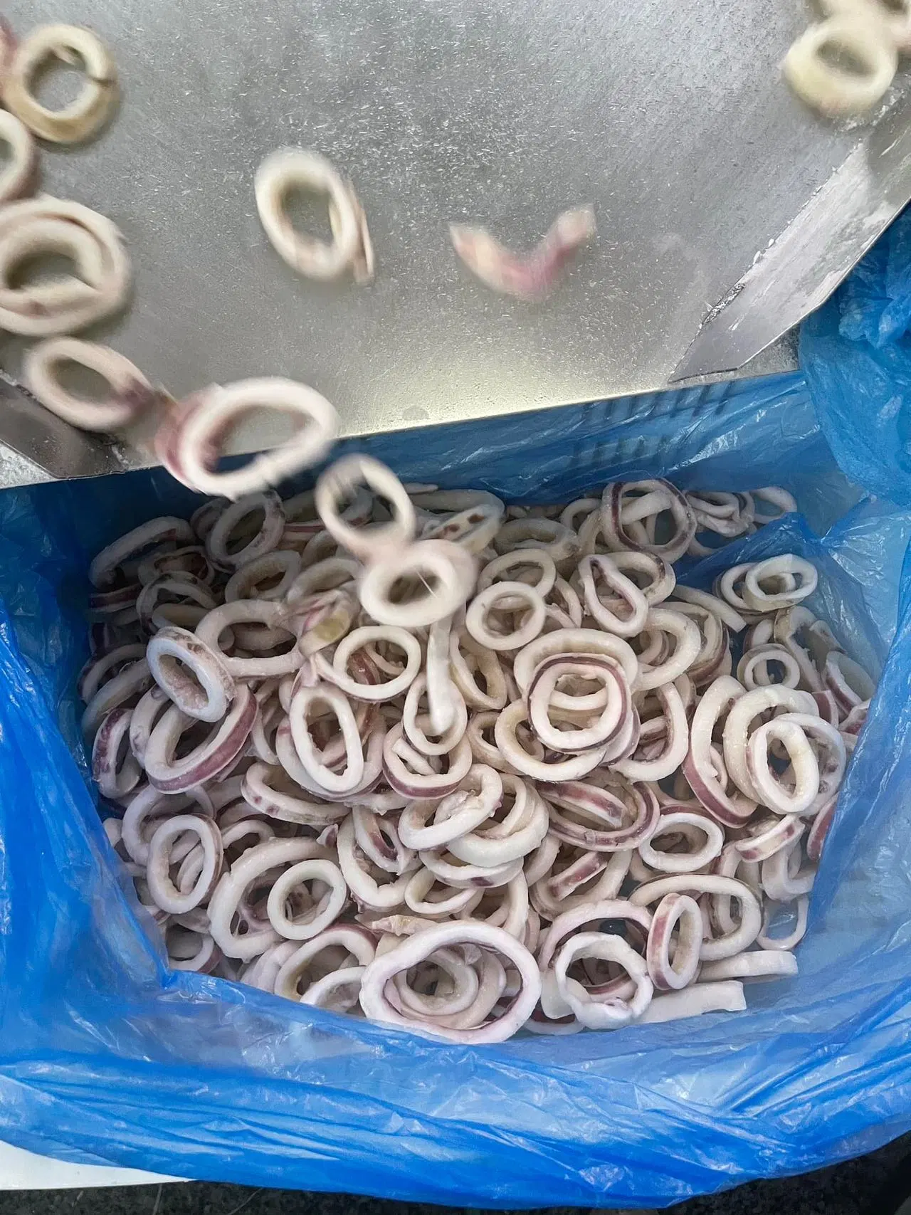 Haut de la qualité des fruits de mer congelés indiens l'anneau de calmar avec la peau pour l'exportation sur la vente