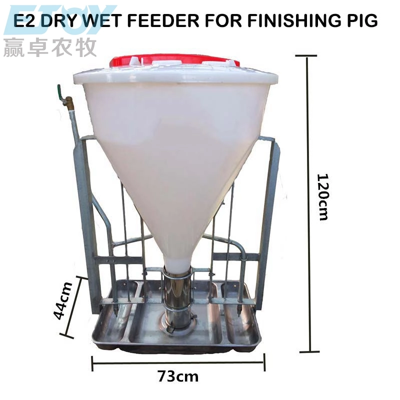 Éleveur de porcs Alimentateur automatique en plastique pour porcs pour l'équipement d'alimentation sèche et humide.