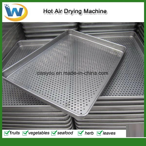 China Vegetable Fruit Fish Sea Food Drying Dryer Machine