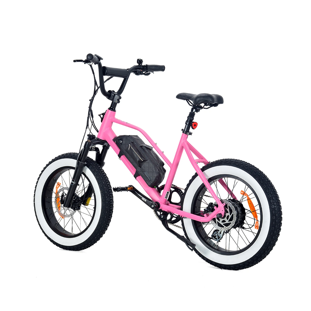 China Großhandel/Lieferantspreis eBike, 48V 500W elektrisches Fahrrad 20 X 4,0 Zoll elektrisches Fahrrad
