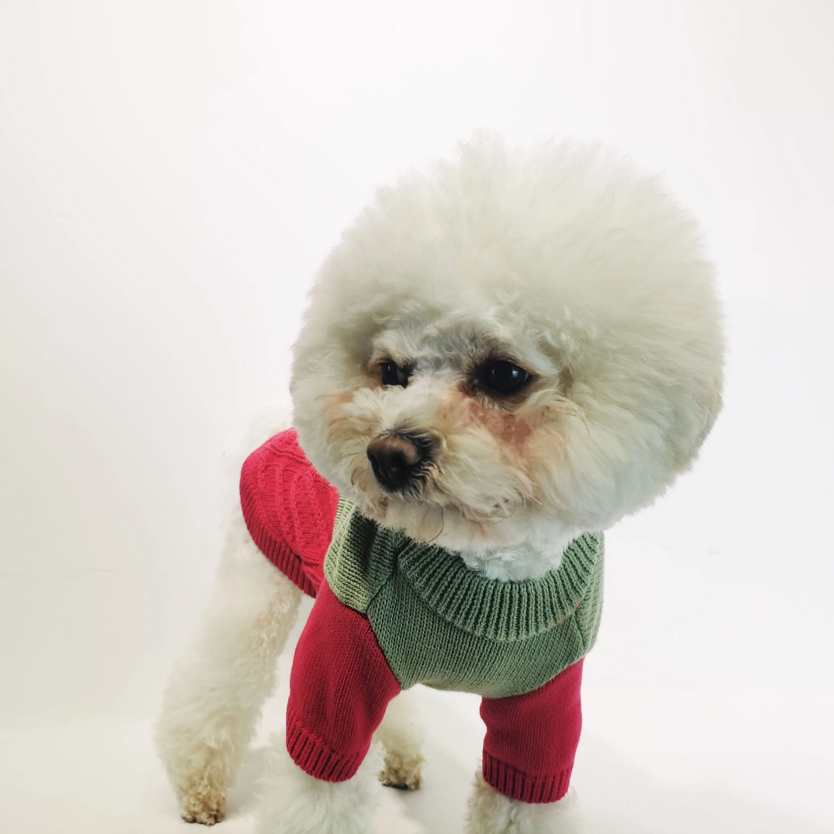 2023 Dog Clothes Design Quality Pet Dog Jumpers Knitting Pup Sweaters