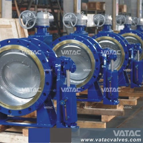 Cast Steel/C. I/D. I Dual Plate Type Butterfly Check Valve China