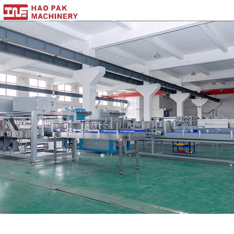 Purfied Water Production Line Automatic Packing Auto Carton Box Packer Packaging Machine