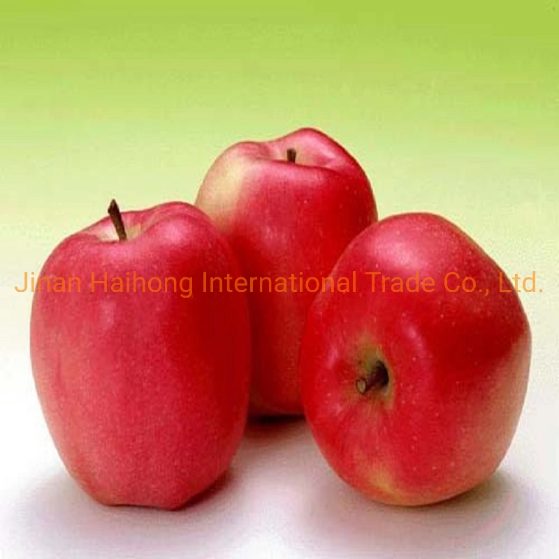 Chinese FUJI Apple Fresh Red Apple for Sale with Cheap Price