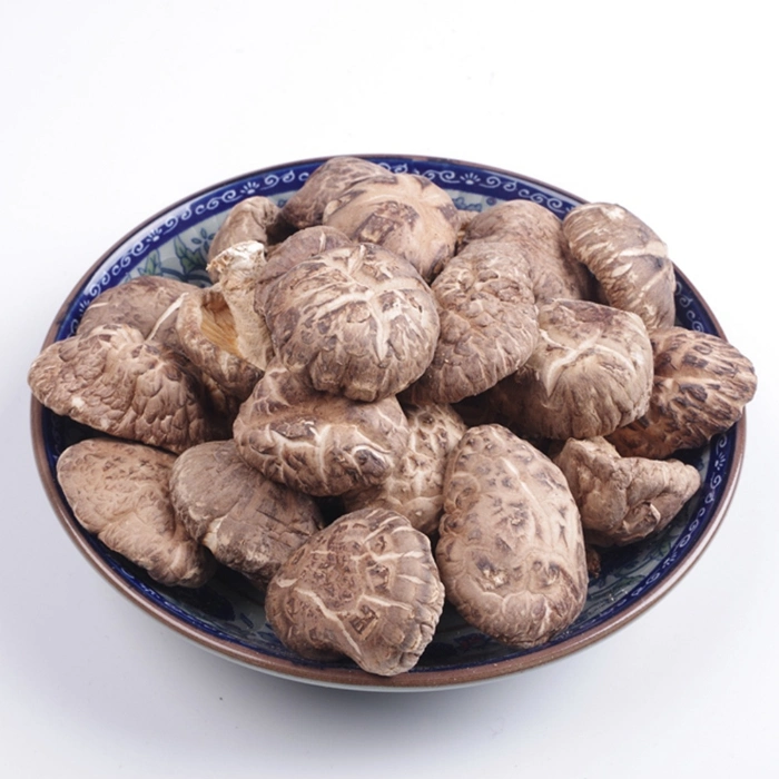 Dehydrated Tea Flower Mushroom Dried Lentinus Edodes 4-6cm