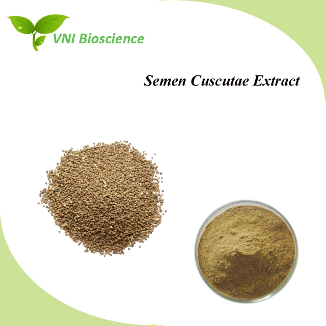 Kosher & Halal Certified Semen Cuscutae Extract