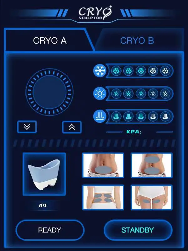 Cryoliolyse efficace machine à brûler les graisses pour les graisses glacées résistantes et indolores Équipement de retrait pour tous les types de peau