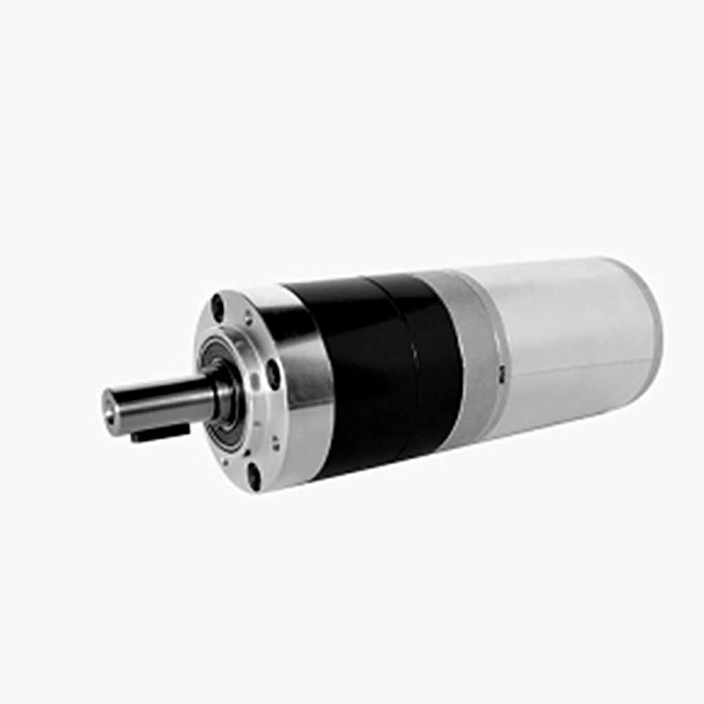 Multi-Functional Special Flat Bus DC Worm Gear Wiper DC Motor